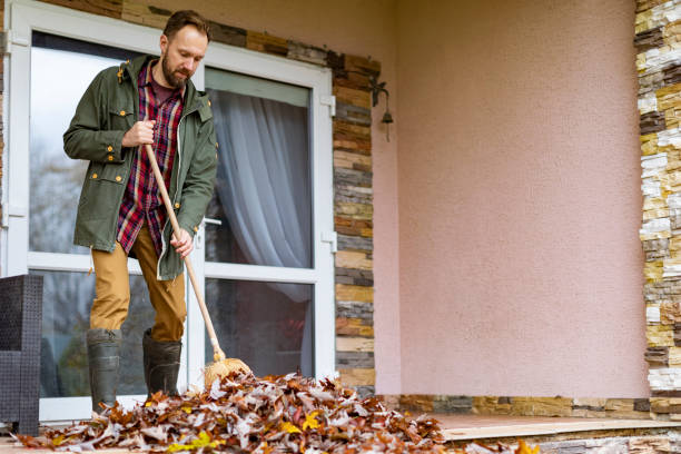 Best Furniture Removal Near Me  in Finley, WA